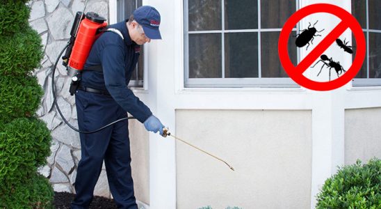 Çukurca Böcek ve Haşere İlaçlama böcek ilaçlama ve haşere kontrolü — ilaclama-tr.com